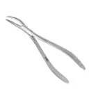 PINCE A RACINE WITZEL