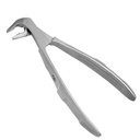 DAVIER PRÉMOLAIRE INFÉRIEURE #13 (1300)