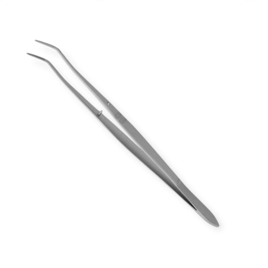 PRECELLE MERIAM STRIÉE