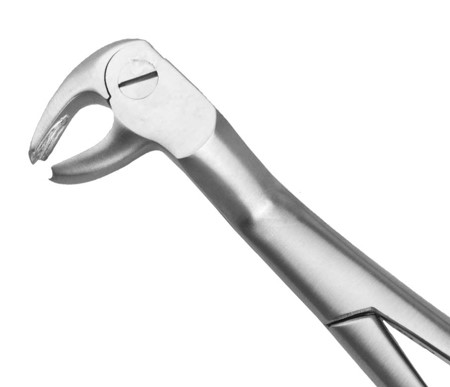 DAVIER SAGESSE INFERIEURE DROITE