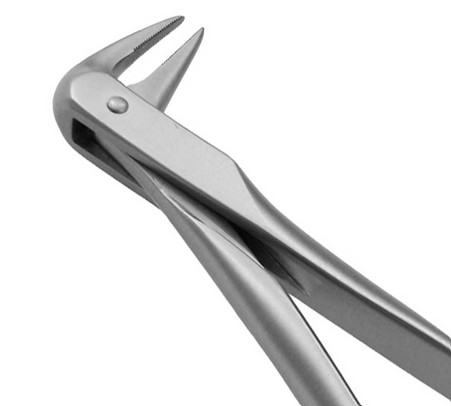 DAVIER RACINE INFÉRIEURE