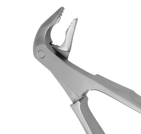 DAVIER INCISIVE CANINE INFÉRIEURE #36N (1300)