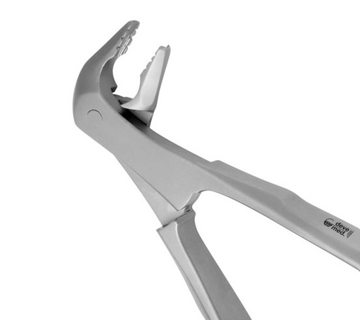 DAVIER PRÉMOLAIRE INFÉRIEURE #13 (1300)