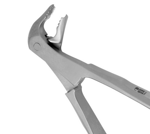 DAVIER MOLAIRE INFÉRIEURE #22 (1300)